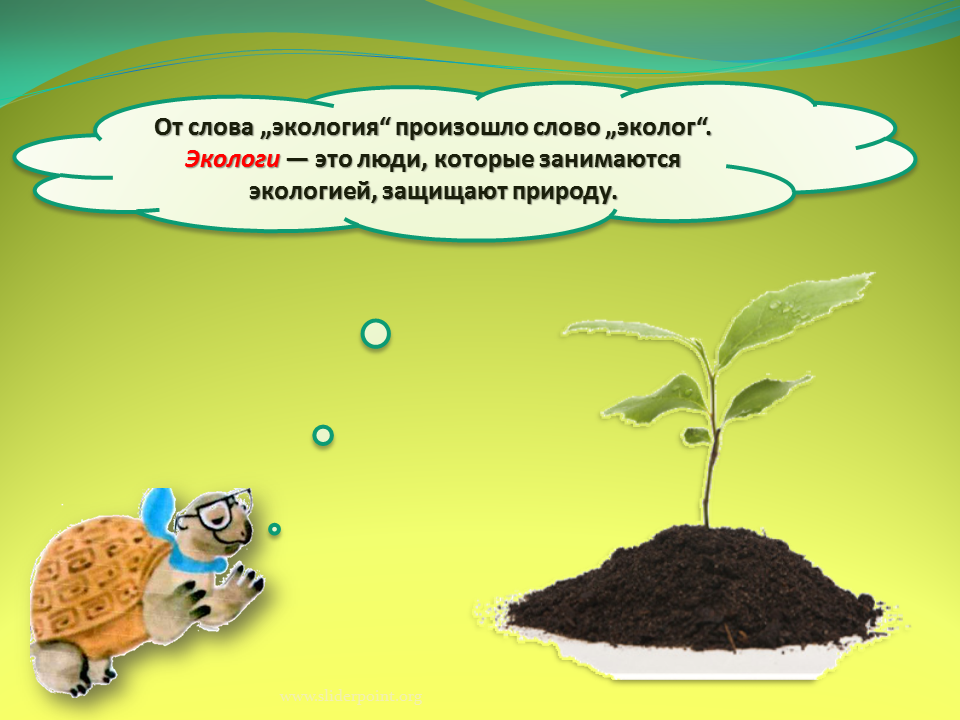 Почему нужно бережно относиться к почвам 4. Экология слова. Экология понятие для детей. Окружающий мир экология. Экология презентация для детей.